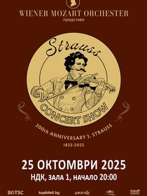Vienna Mozart Orchestra