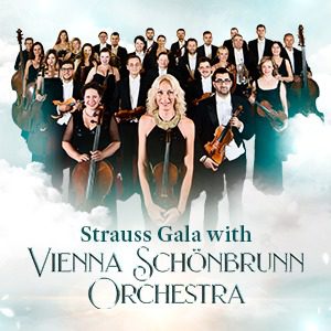 Щраус гала с Vienna Schönbrunn Orchestra